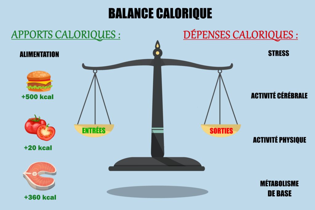 poids-energetique-quotidien Découvrez comment le poids dans le mix énergétique peut bouleverser votre quotidien !