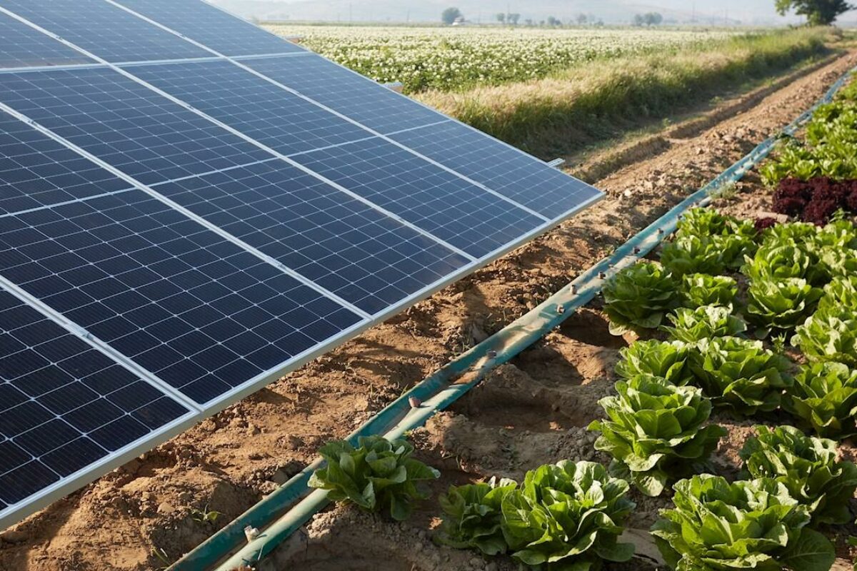 pv-pour-pompes-optimiser-lenergie Installation photovoltaïque pour pompes : optimiser votre consommation d'énergie