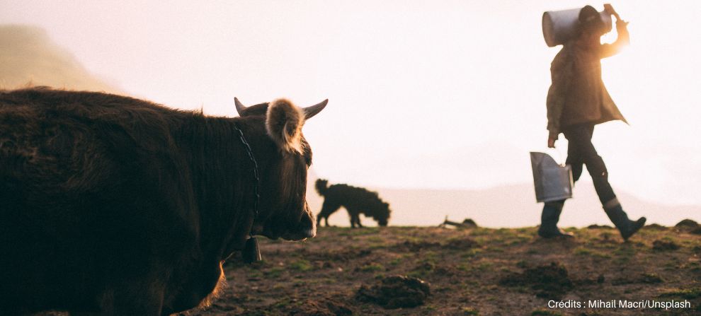recompenses-ecologiques-3 Récompenses écologiques : valoriser l'engagement pour la planète