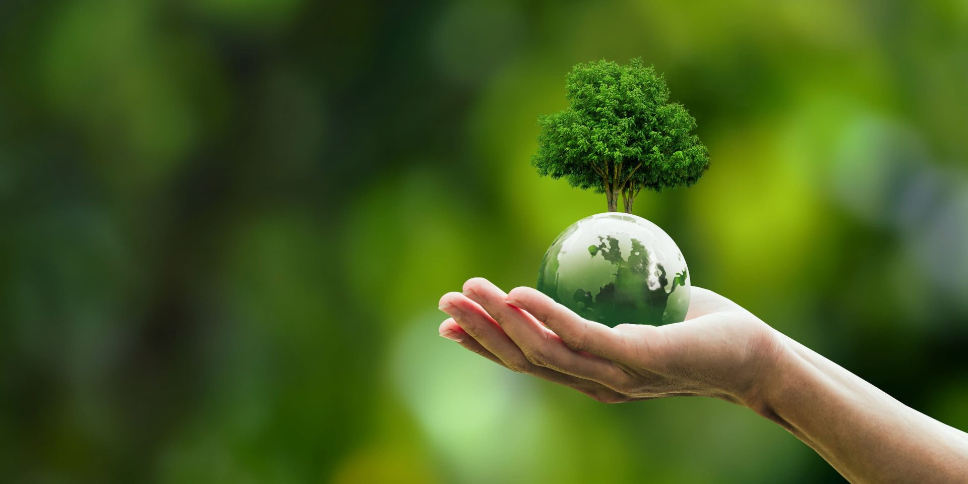 reduire-carbone-facilement-1 Découvrez comment réduire vos émissions de carbone en un clin d'œil !