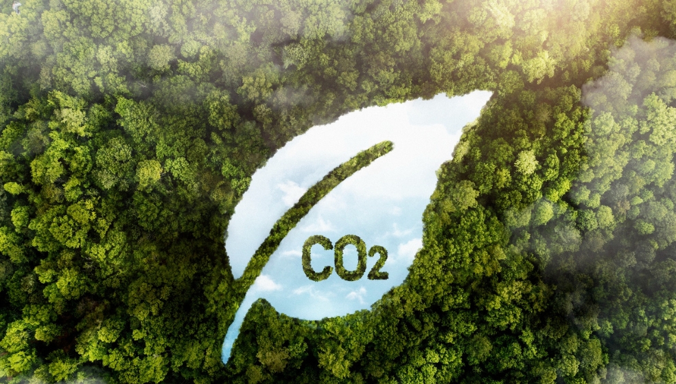 reduire-carbone-facilement Découvrez comment réduire vos émissions de carbone en un clin d'œil !