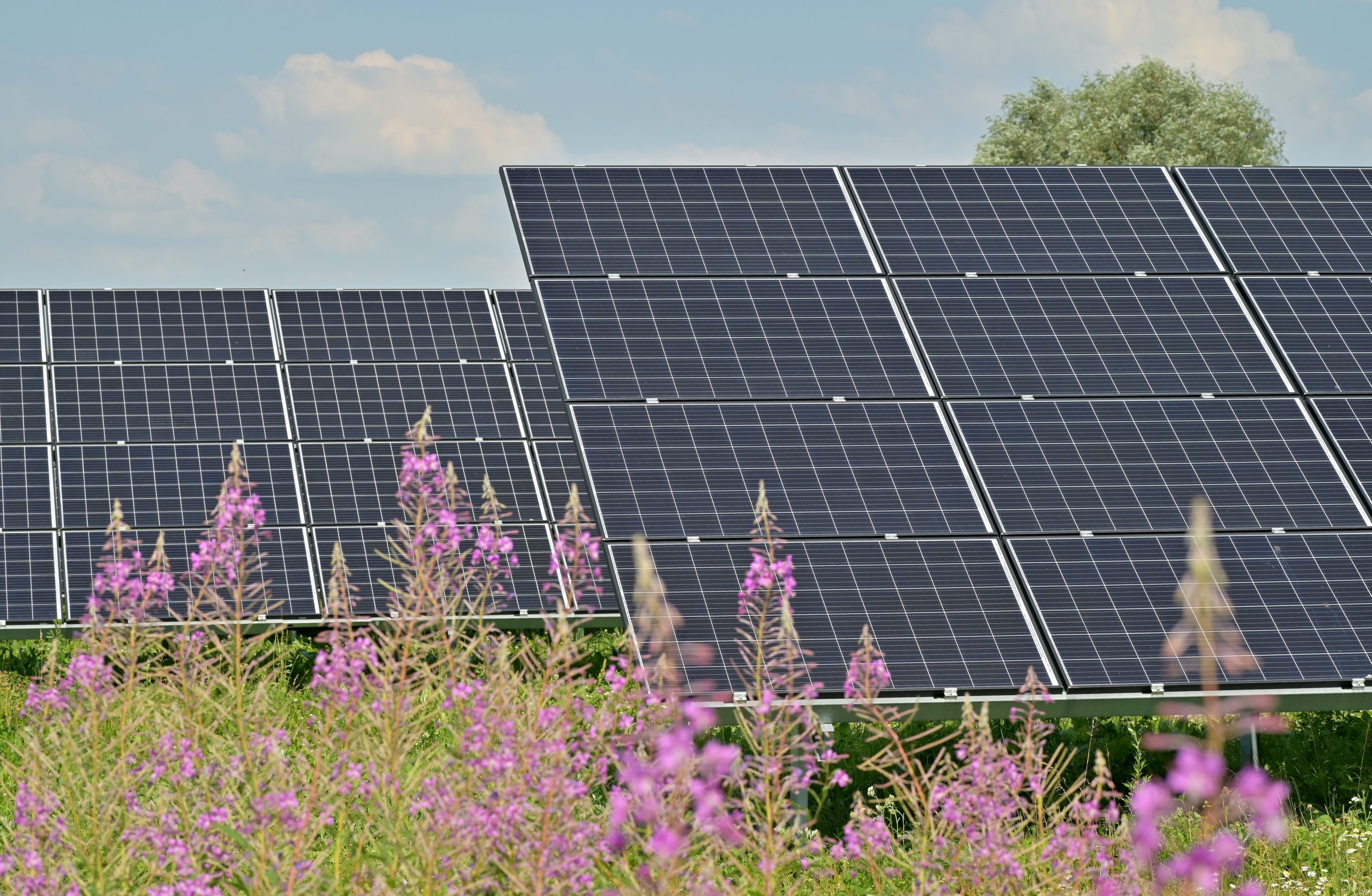 reussite-photovoltaique Conseils incontournables pour réussir votre installation photovoltaïque