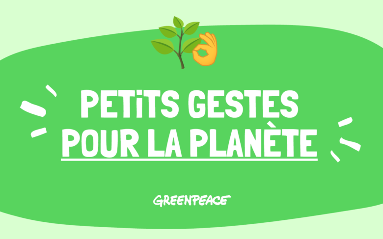 strategies-greenpeace-face-aux-defis-environnementaux Comparatif des actions et stratégies de Greenpeace face aux défis environnementaux