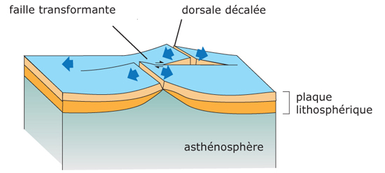 technologies-transformantes Les nouvelles technologies qui transforment notre quotidien