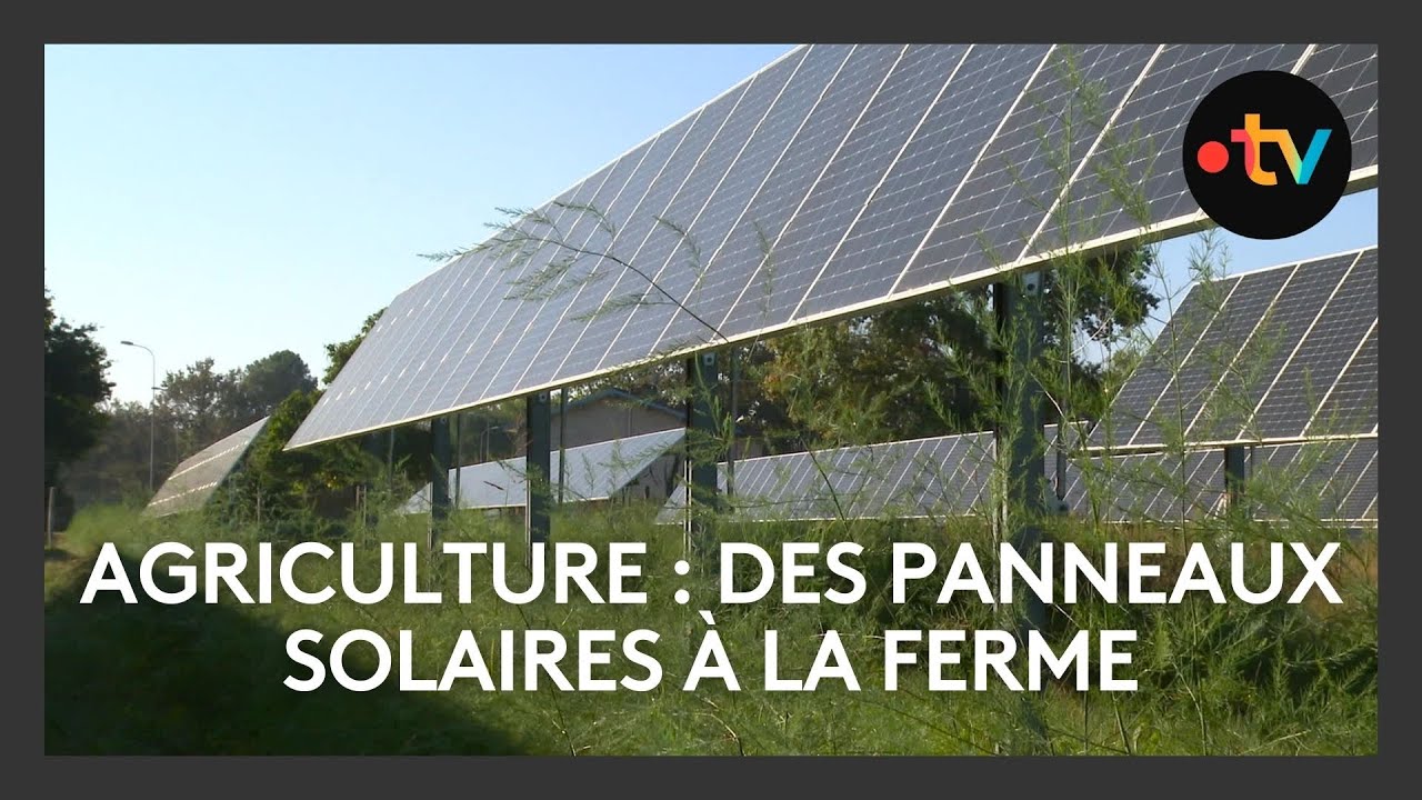 terrains-solaires-3 Découvrez comment les terrains inutilisés peuvent révolutionner votre facture d'électricité grâce aux panneaux solaires!