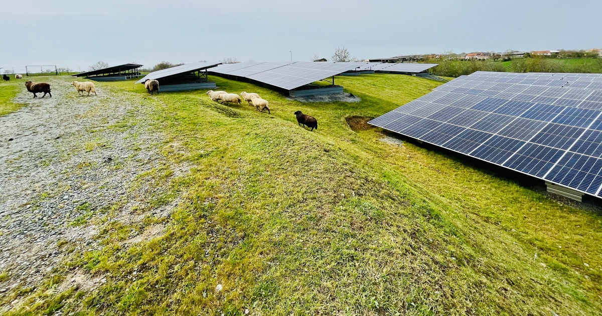 découvrez le monde du photovoltaïque, une solution énergétique durable qui transforme la lumière du soleil en électricité. apprenez comment installer des panneaux solaires, maximiser vos économies d'énergie et contribuer à la protection de l'environnement grâce à des technologies innovantes et respectueuses de la planète.