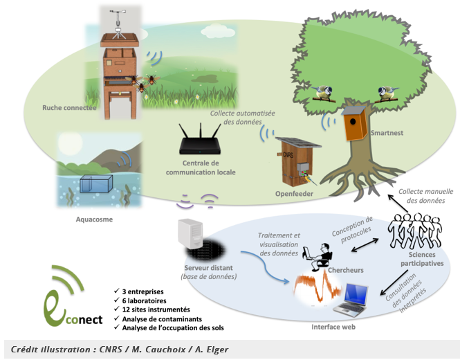 découvrez l'importance des écosystèmes pour notre planète. plongez dans l'univers fascinant des interactions entre les organismes vivants et leur environnement, et comprenez comment préserver la biodiversité et l'équilibre naturel.