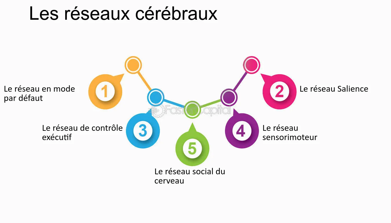 découvrez notre comparatif des meilleures solutions cereb pour optimiser votre expérience. analysez les différentes options disponibles, leurs fonctionnalités et avantages, afin de faire le choix qui répond le mieux à vos besoins.
