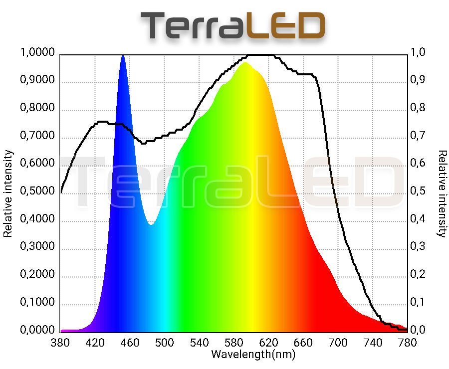 découvrez notre comparatif des lampes ecolight pour choisir l'éclairage écologique qui convient le mieux à vos besoins. analysez les caractéristiques, performances et avantages de chaque modèle afin d'optimiser votre consommation d'énergie tout en préservant l'environnement.