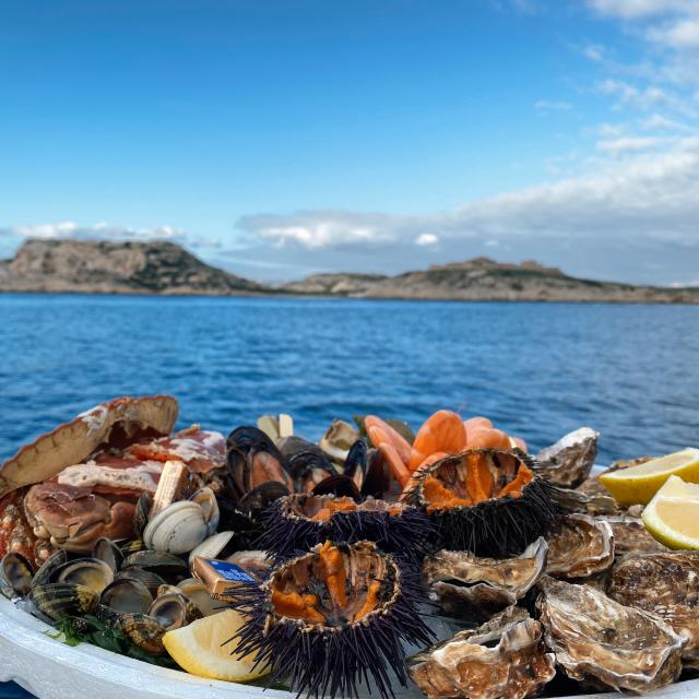 découvrez notre comparatif écotourisme qui analyse les meilleures destinations, activités et initiatives respectueuses de l'environnement. plongez dans un voyage durable et faites le choix éclairé pour vos prochaines vacances écoresponsables.