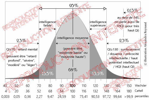 découvrez notre comparatif détaillé des solutions cogito solar, une analyse complète des performances, avantages et inconvénients pour vous aider à choisir le système solaire qui convient le mieux à vos besoins énergétiques.