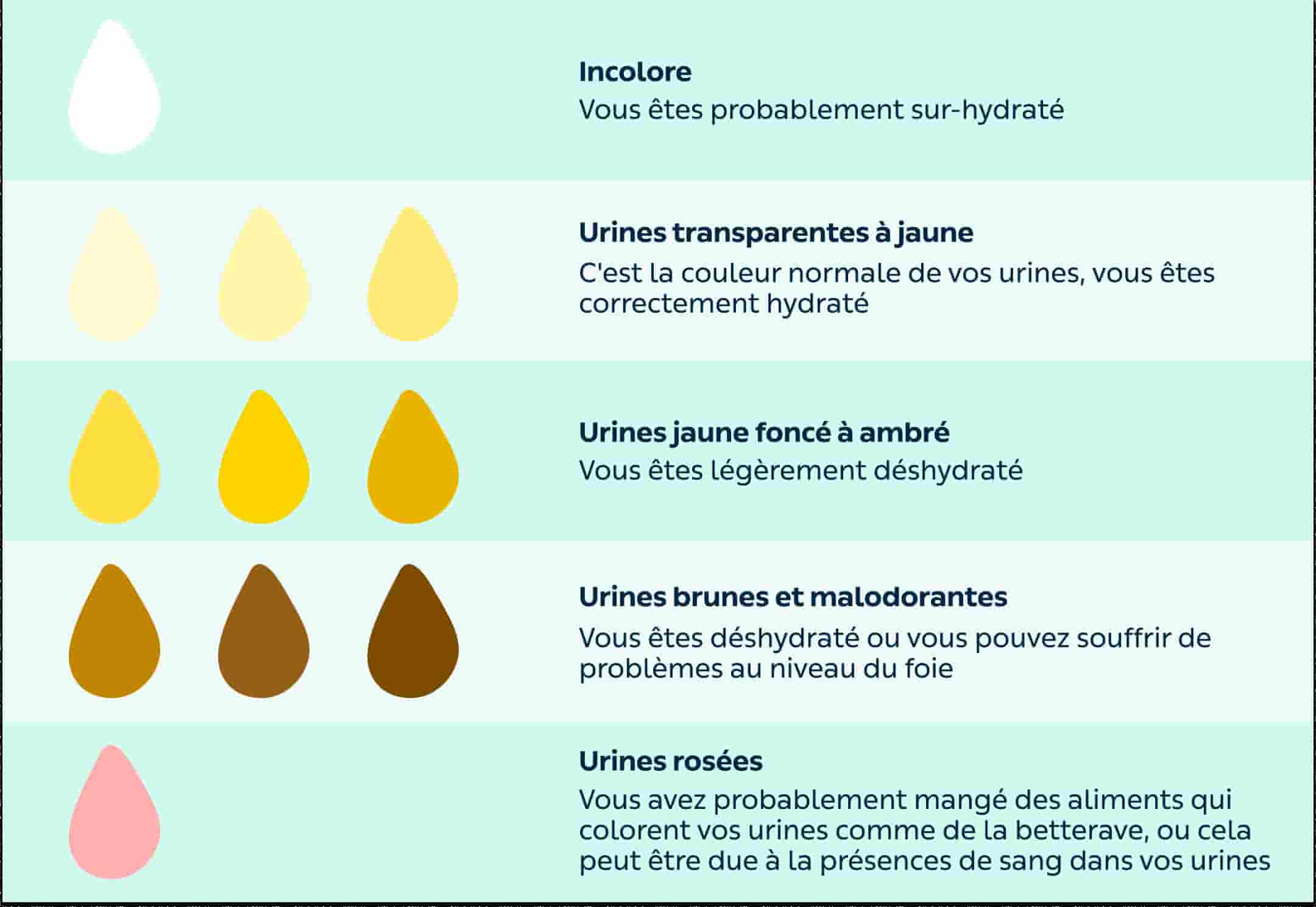 découvrez notre comparatif des offres ambre energy pour choisir l'option la plus adaptée à vos besoins énergétiques. analyse des prix, services et avantages pour vous aider dans votre décision.