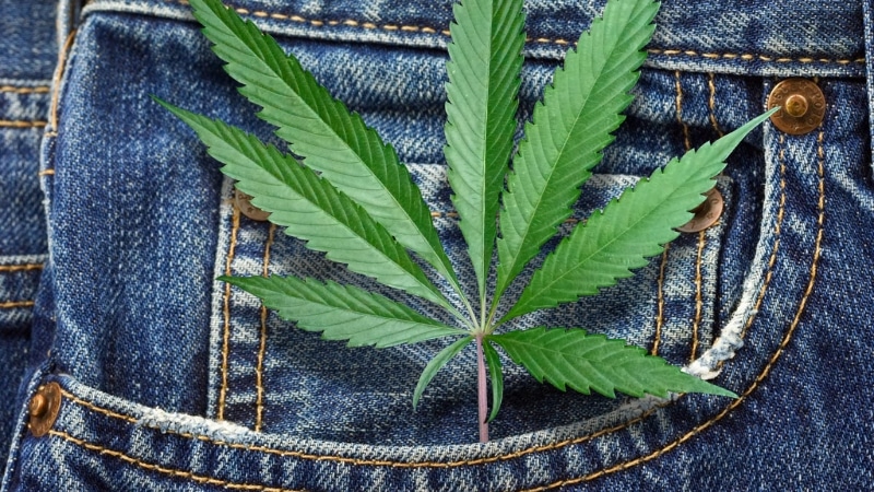 découvrez les techniques de green processing qui révolutionnent l'industrie en minimisant l'impact environnemental tout en améliorant l'efficacité et la durabilité des procédés de production.