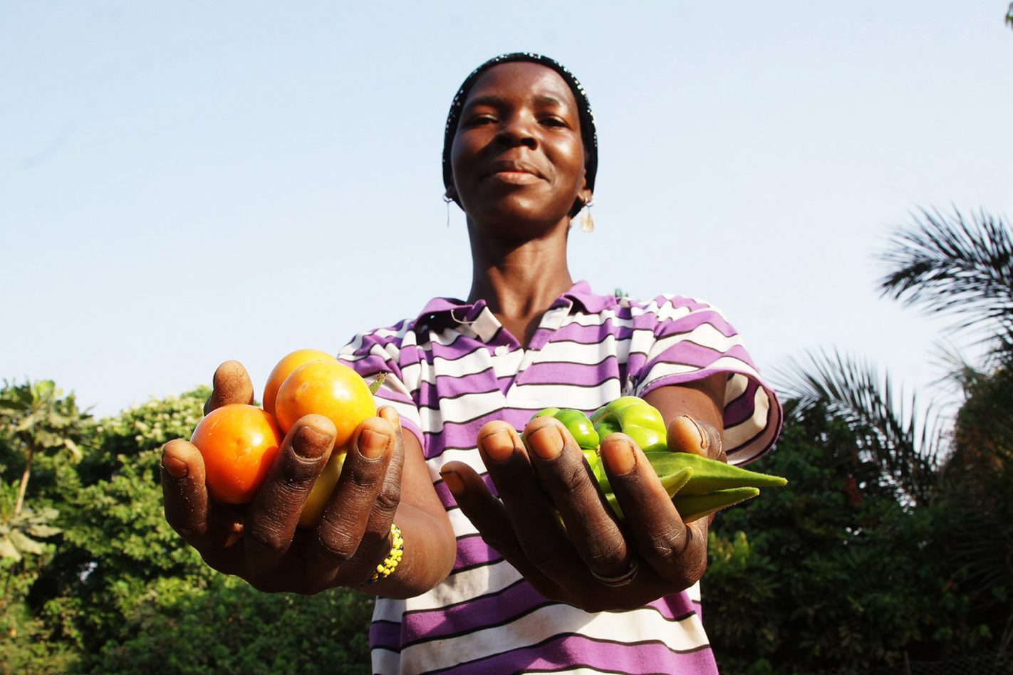 découvrez l'importance des partenariats locaux pour le développement durable de votre communauté. explorez comment la collaboration entre entreprises, organismes et citoyens peut créer des solutions innovantes et renforcer le tissu social.