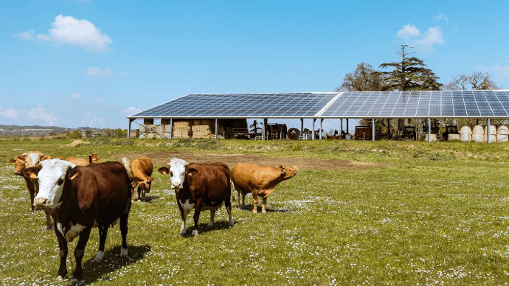 découvrez notre guide complet sur l'autoconsommation photovoltaïque : apprenez à optimiser votre production d'énergie solaire, réduire vos factures, et contribuer à un environnement durable grâce à des solutions adaptées à vos besoins.