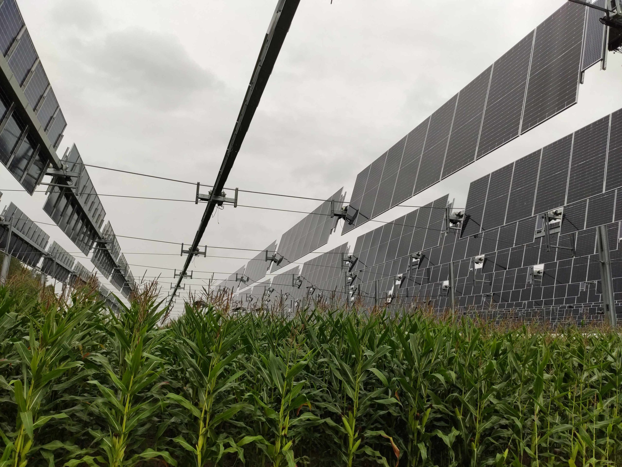 découvrez l'agriculture photovoltaïque, une solution innovante qui combine la production agricole et l'énergie solaire. optimisez vos terres tout en contribuant à la transition énergétique grâce à des techniques durables et rentables.