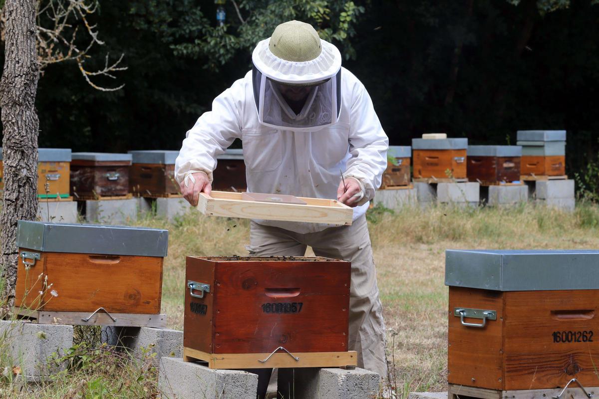 découvrez comment nos habitudes de consommation influencent la biodiversité et l'équilibre des écosystèmes. apprenez les gestes à adopter pour préserver la nature tout en répondant à nos besoins quotidiens.