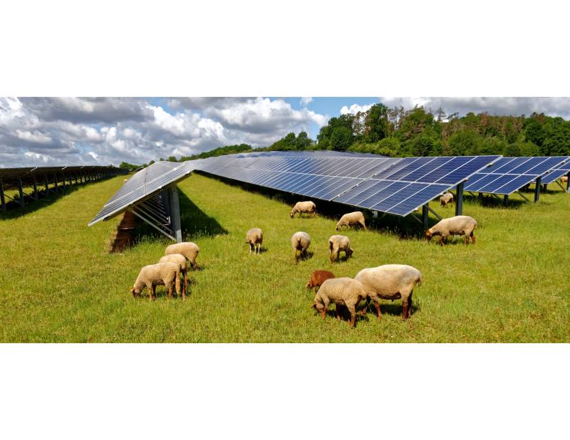 découvrez des opportunités de location de terrains photovoltaïques rentables. maximisez vos revenus grâce à l'énergie solaire tout en contribuant à la transition énergétique. profitez d'un investissement durable et écologique dès maintenant!