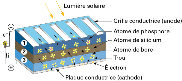 découvrez le fonctionnement des panneaux photovoltaïques et comment ils convertissent l'énergie solaire en électricité. apprenez les principes de base, les technologies impliquées et les avantages d'une installation photovoltaïque pour un avenir énergétique durable.