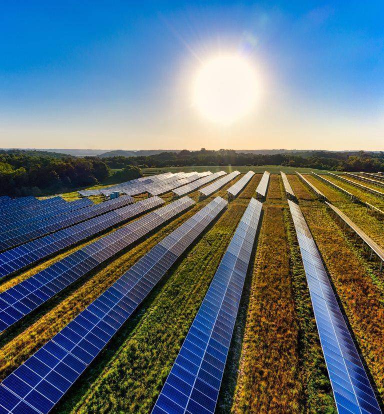 découvrez comment l'investissement photovoltaïque agricole peut transformer votre exploitation. maximisez vos revenus tout en contribuant à une agriculture durable grâce à l'énergie solaire.