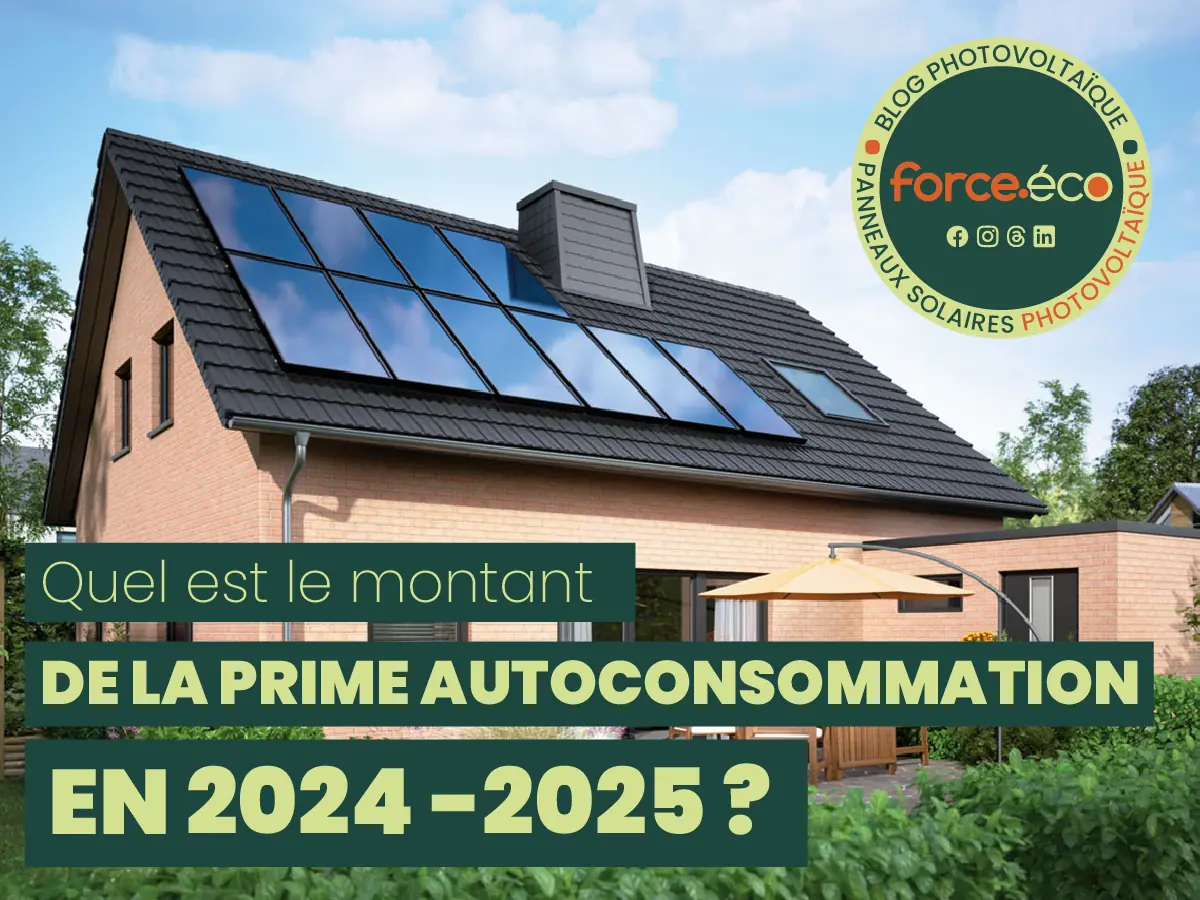 découvrez les tendances et prévisions des prix pour l'installation de panneaux photovoltaïques en 2025. informez-vous sur les économies d'énergie, les subventions disponibles et les meilleures options pour investir dans l'énergie solaire.