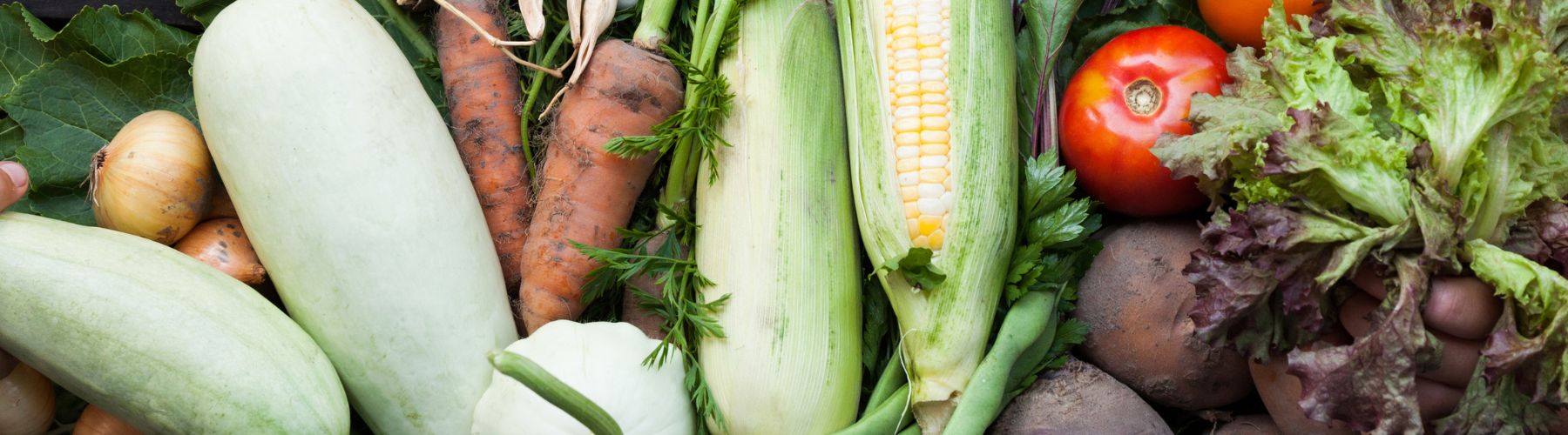 alimentation-durable-1 Adopter une alimentation durable pour un avenir meilleur
