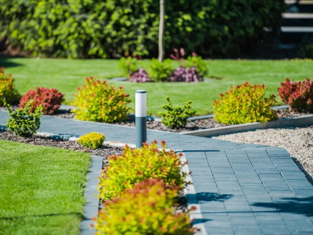 allee-optimale Choisir l'allée idéale : conseils pour maximiser votre espace