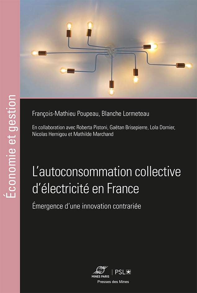 autoconsommation-electricite-1 Vous ne croirez jamais à quel point l'autoconsommation peut transformer votre facture d'énergie !