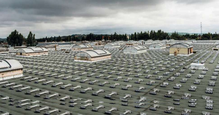 avantages-photovoltaiques-commerces-texas-1 Les avantages des installations photovoltaïques pour les commerces au Texas