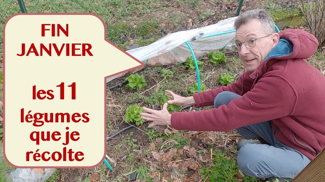 avantages-sunmedley-jardinage-durable-1 Comparatif des avantages de SunMedley dans le jardinage durable