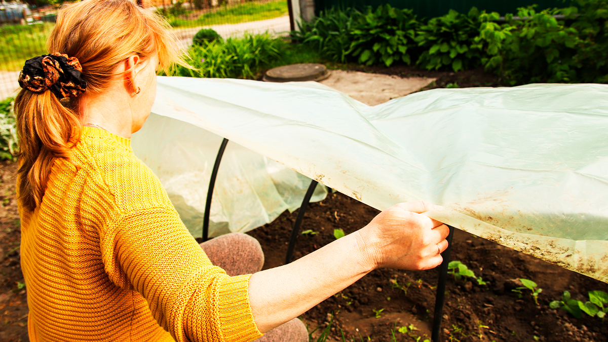brises-vent-jardin-2 Comparatif des meilleures brises du vent pour votre jardin