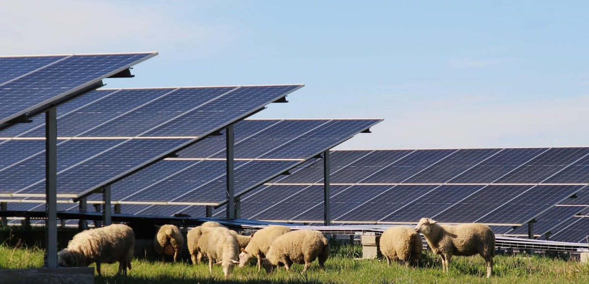 centrale-solaire-gironde-1 Vous ne croirez jamais ce que cette centrale solaire en Gironde va changer dans votre vie