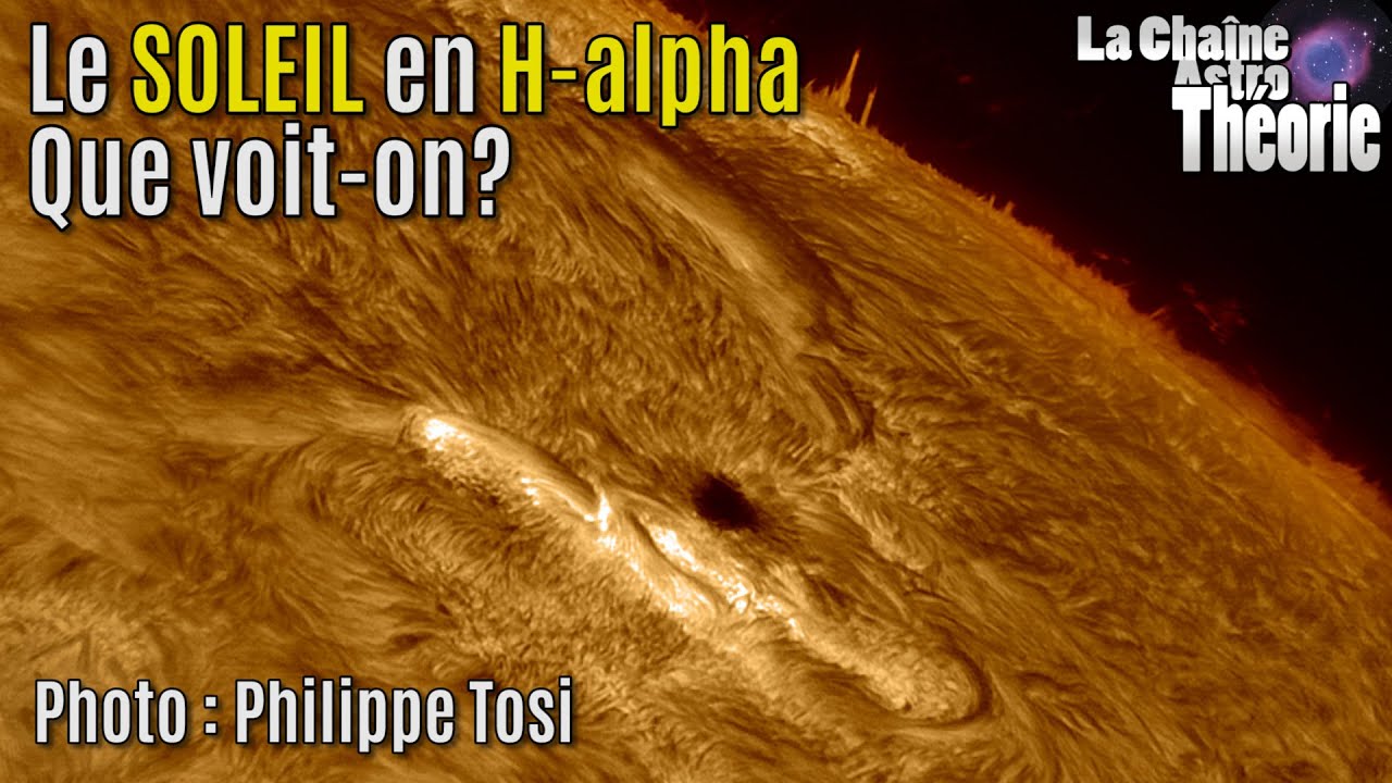 comparatif-alphasolaire-2 Comparatif des solutions AlphaSolaire pour l'énergie solaire