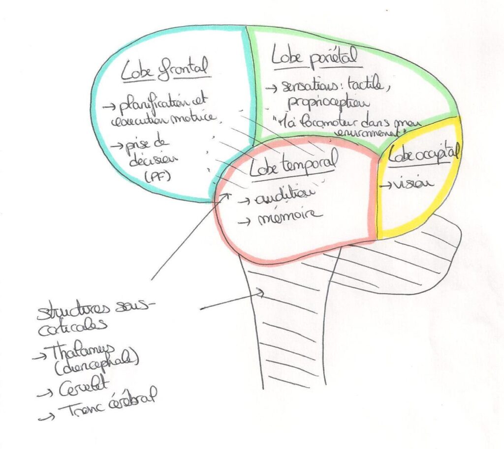 comparatif-cereb-1 Comparatif des fonctionnalités de Cereb