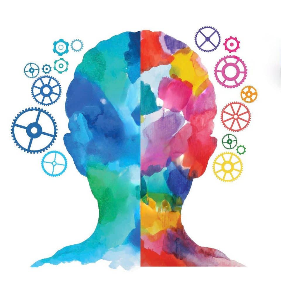 comparatif-cereb-2 Comparatif des fonctionnalités de Cereb