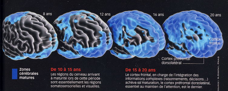 comparatif-cereb Comparatif des fonctionnalités de Cereb