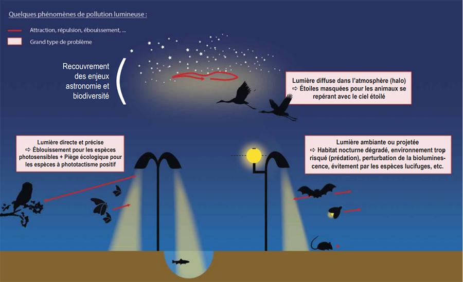 comparatif-ecologiques-eclairage-1 Comparatif des solutions Ecolighten pour un éclairage durable