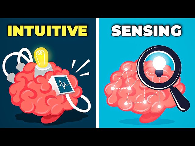 comparatif-intuition-3 Comparatif des approches sur l'intuition