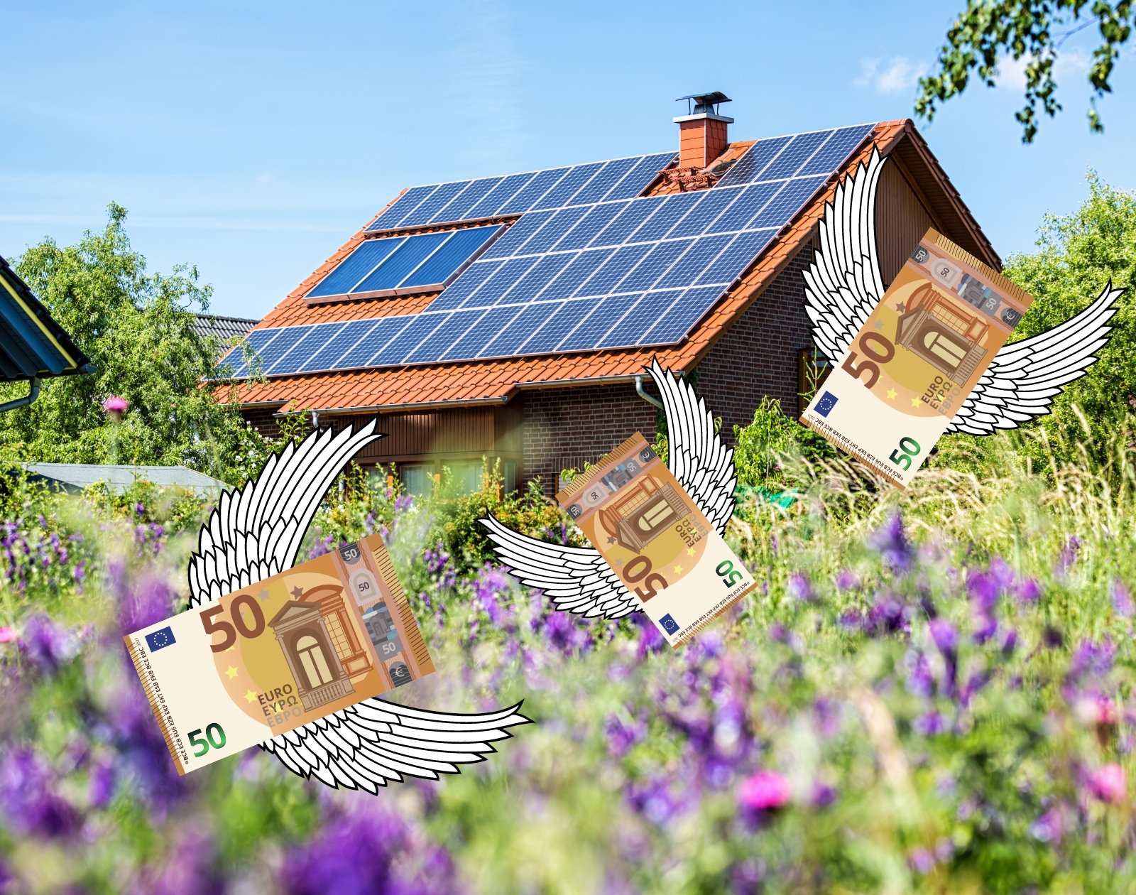 cout-panneaux-photovoltaiques-jardin-3 cout installation panneaux photovoltaique dans son jardin