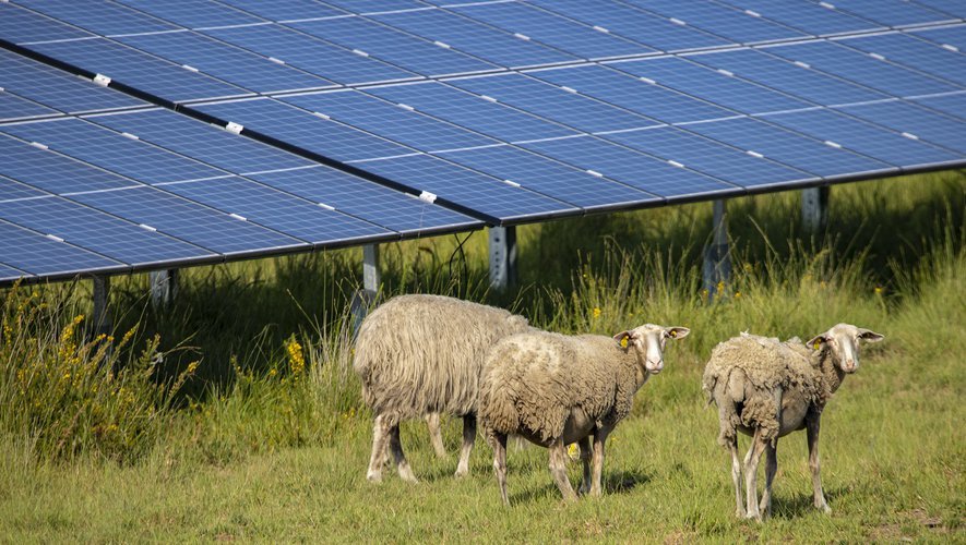debat-photovoltaiques Débats autour des installations photovoltaïques