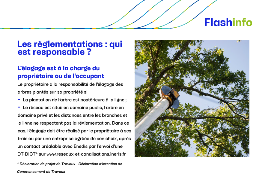 declaration-enedis-6 déclaration cacsi enedis