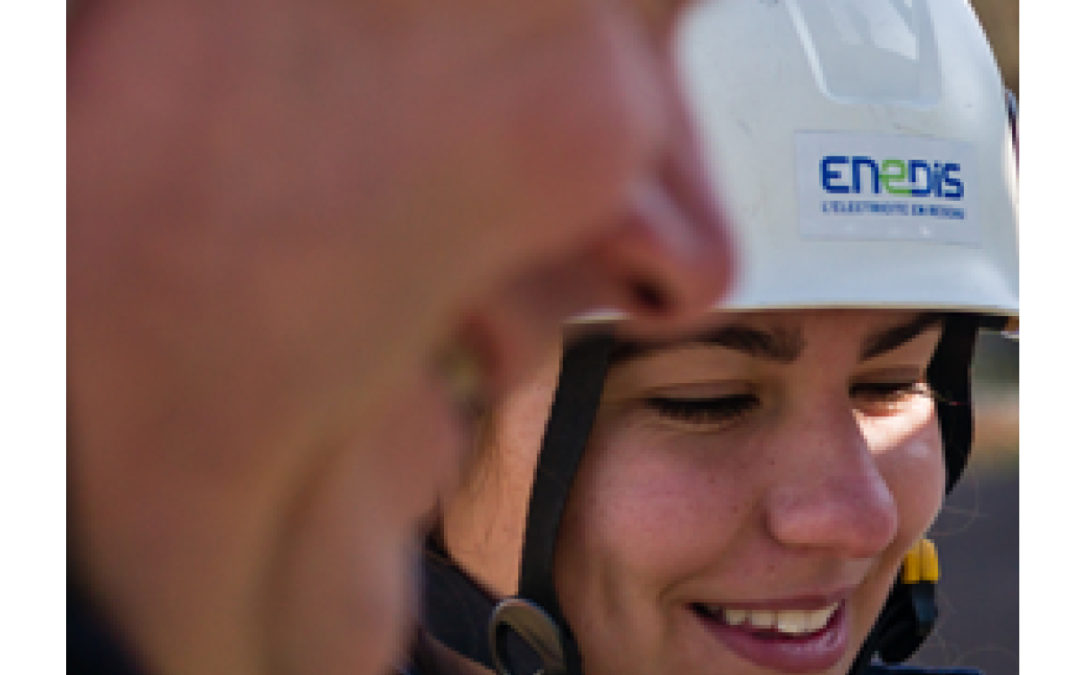 definition-enedis-2 enedis definition