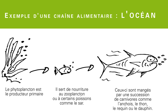 ecosystemes-1 Comparatif des écosystèmes : comprendre l'écosphere
