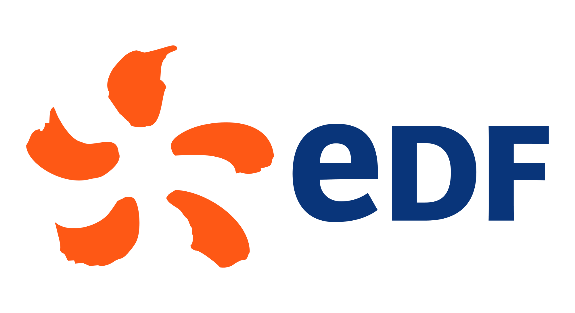edf-31 edf.