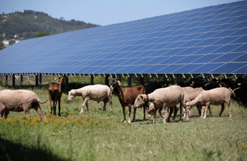 edf-panneaux-solaires Vous ne croirez pas combien EDF vous paiera pour vos panneaux solaires !