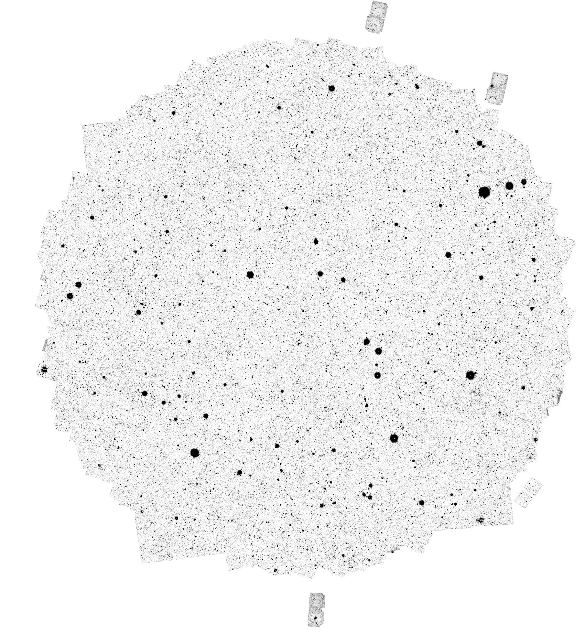 edff-1-scaled edff