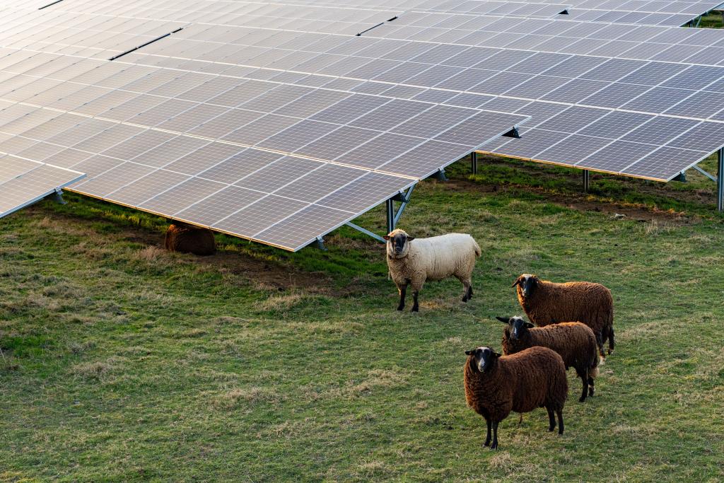 energie-solaire-agriculture-2 L'énergie solaire va transformer l'agriculture, découvrez comment !