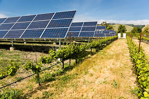 energie-solaire-agriculture L'énergie solaire va transformer l'agriculture, découvrez comment !