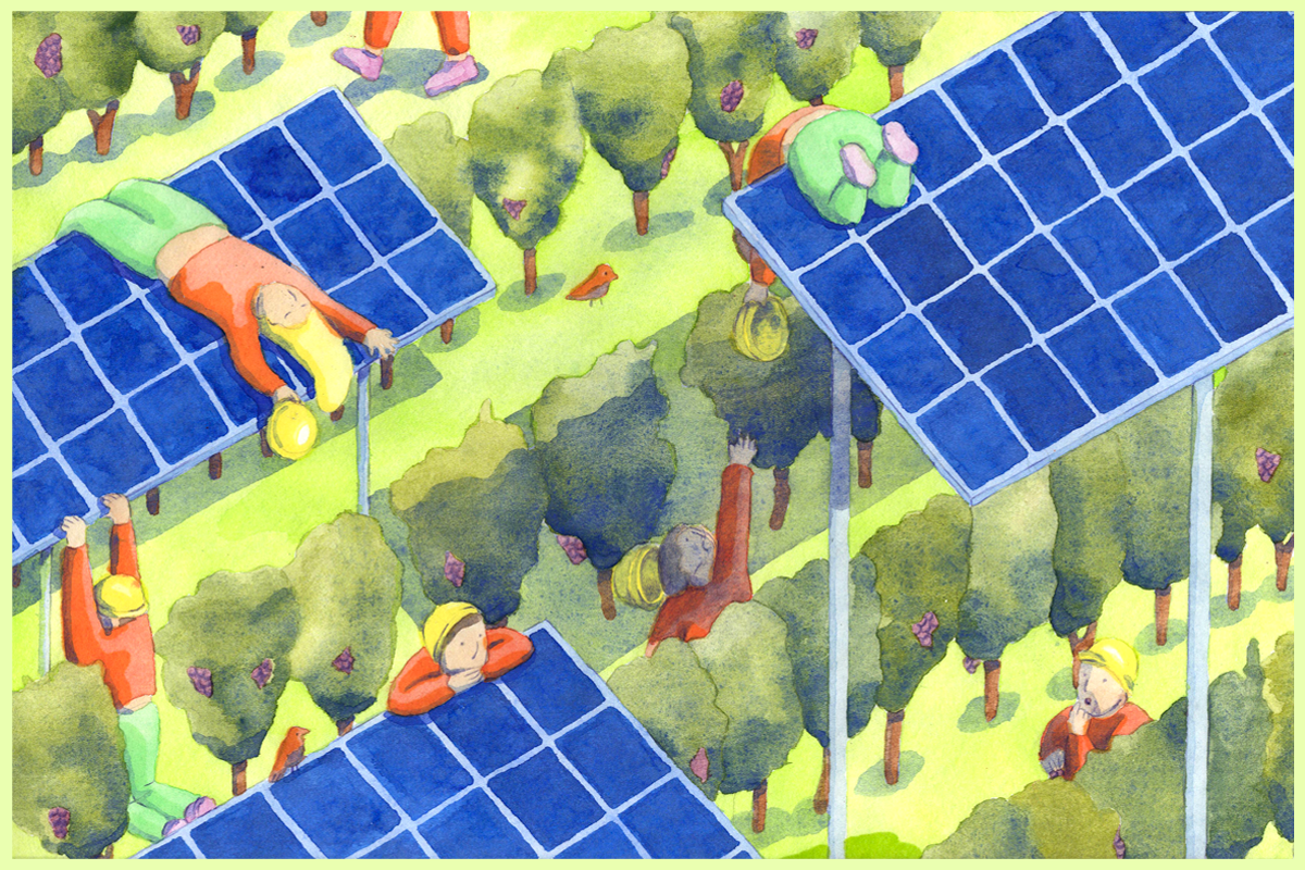 energie-solaire-agriculture L'énergie solaire va transformer l'agriculture, découvrez comment !