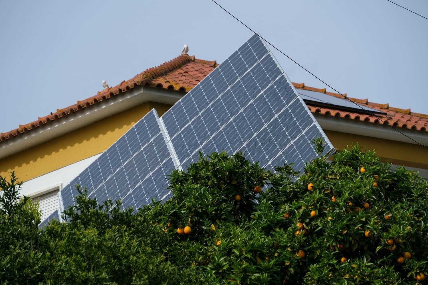 gagner-avec-des-panneaux-solaires-2 Vous ne devinerez jamais combien d'argent vous pouvez gagner en vendant votre électricité avec des panneaux photovoltaïques !